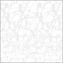 گل یخ کریستال(هرمترمربع17500تومان)