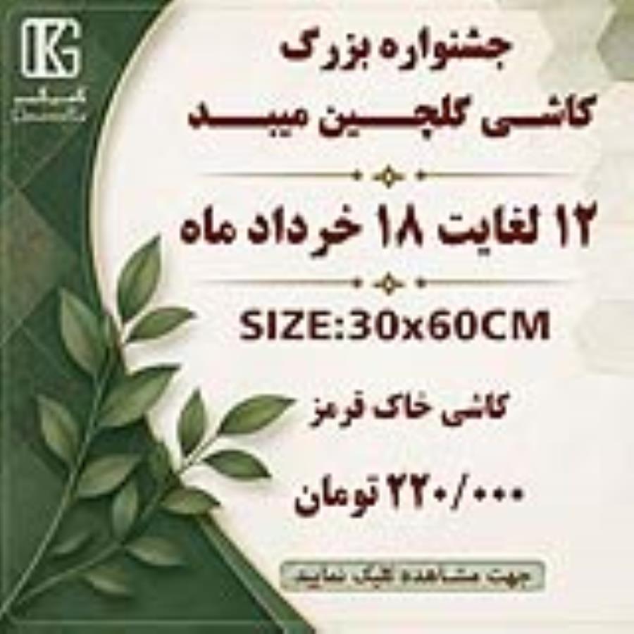 اخبار