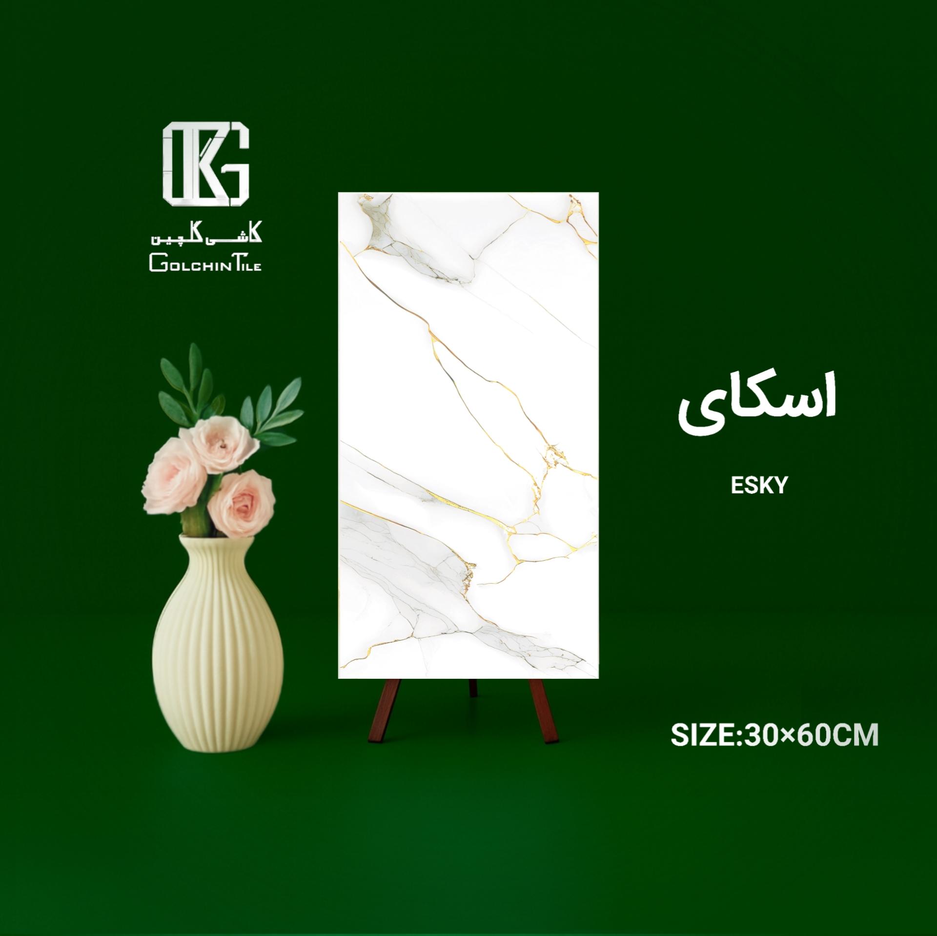 اسکای 60×30