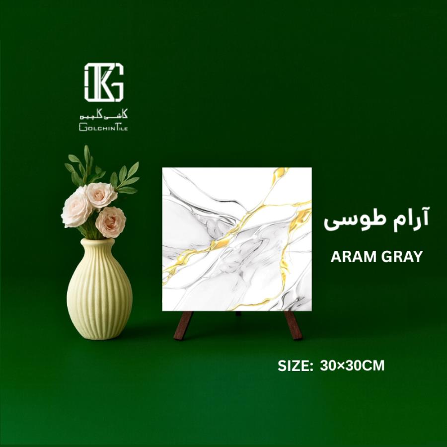 آرام طوسی 30×30