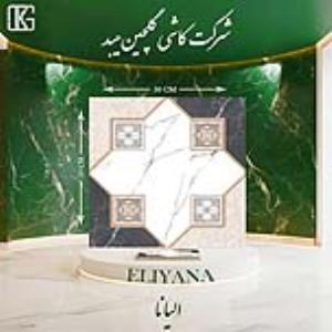 الیانا 50×50