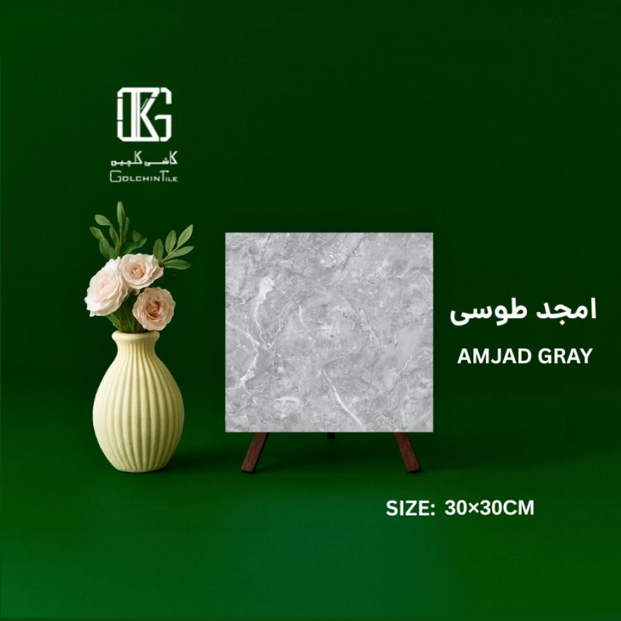 امجد طوسی 30×30