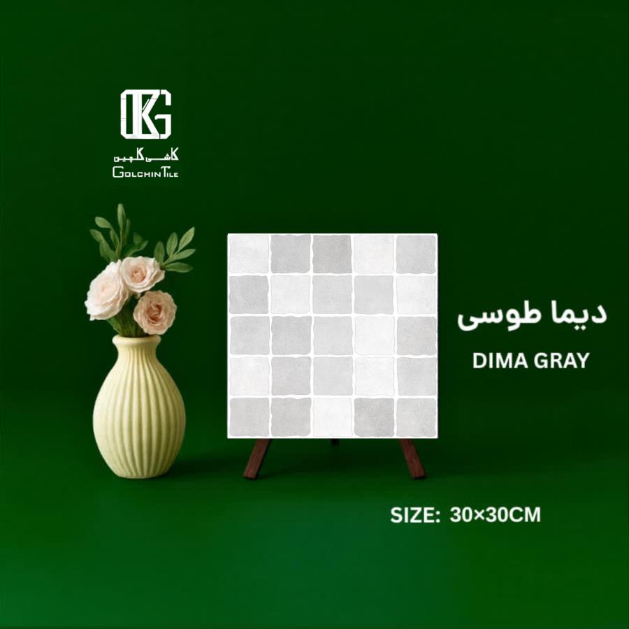 دیما طوسی 30×30