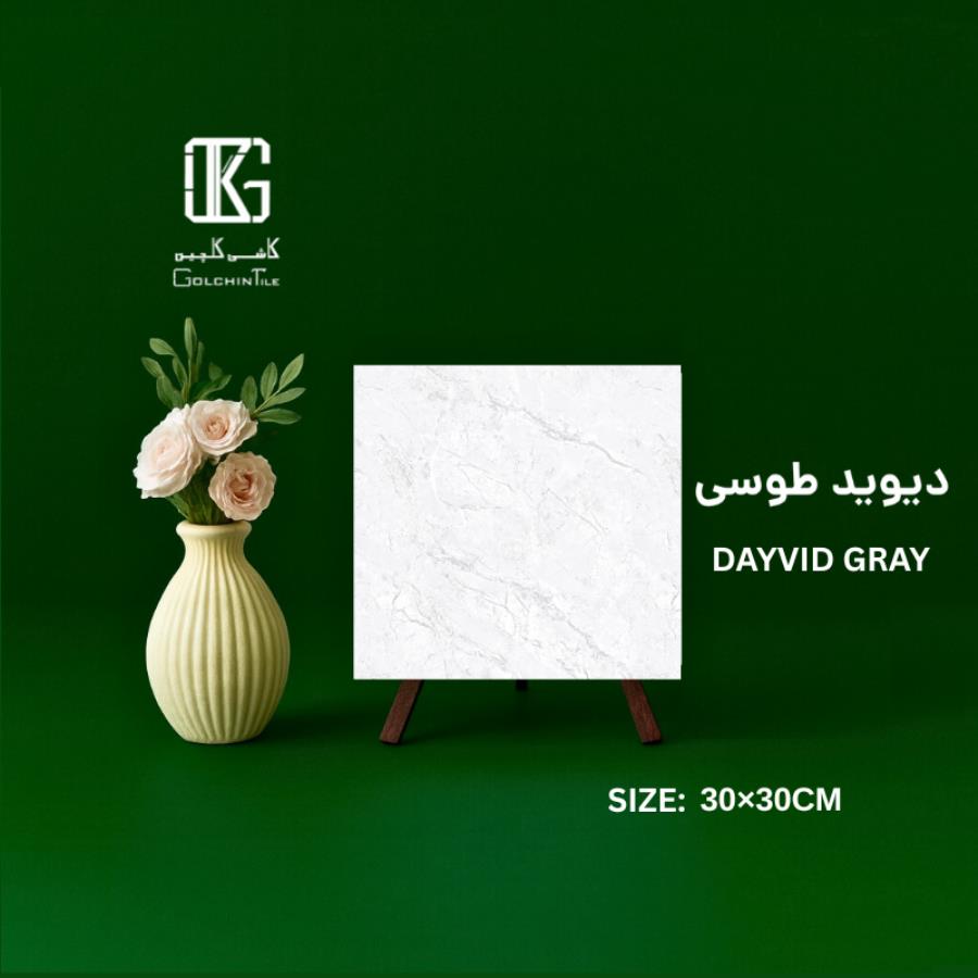 دیوید طوسی 30×30