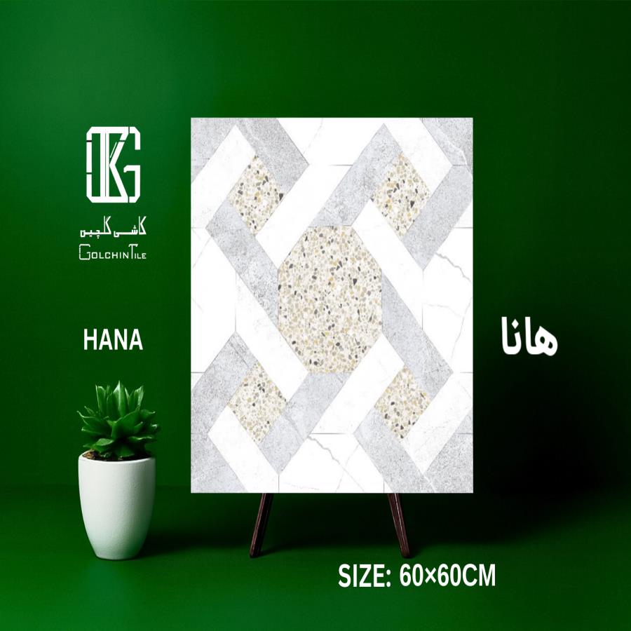 هانا 60×60