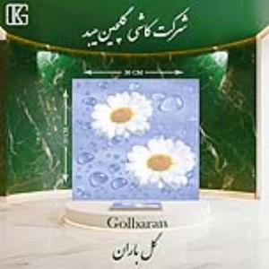 گلباران 30×30