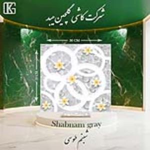 شبنم طوسی 30×30