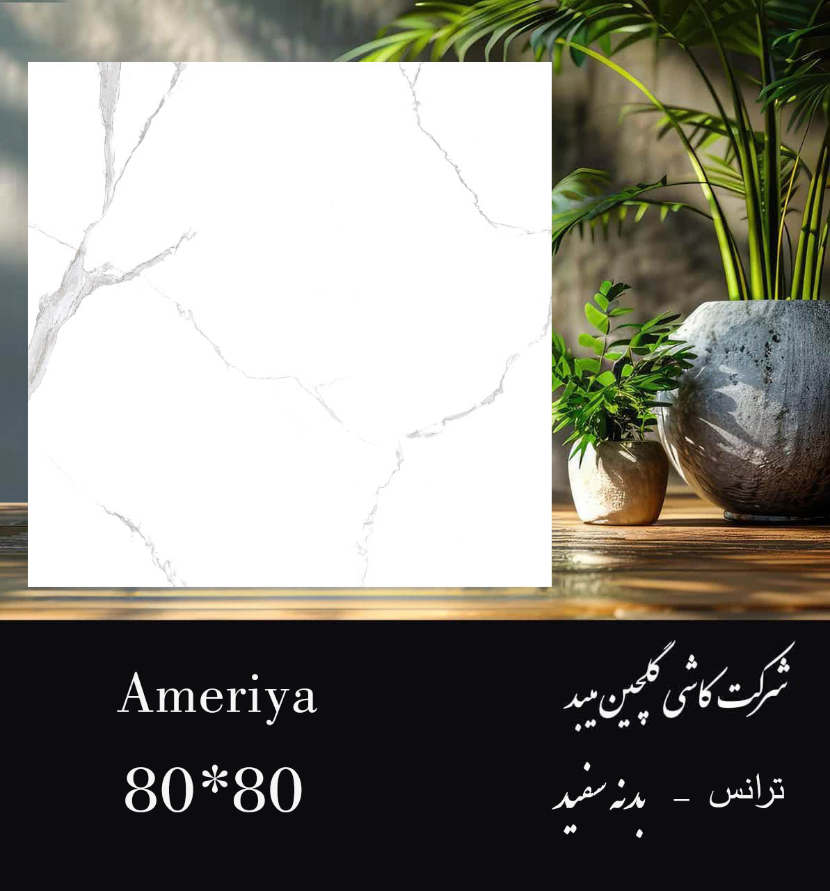 سرامیک خاک سفید 80×80