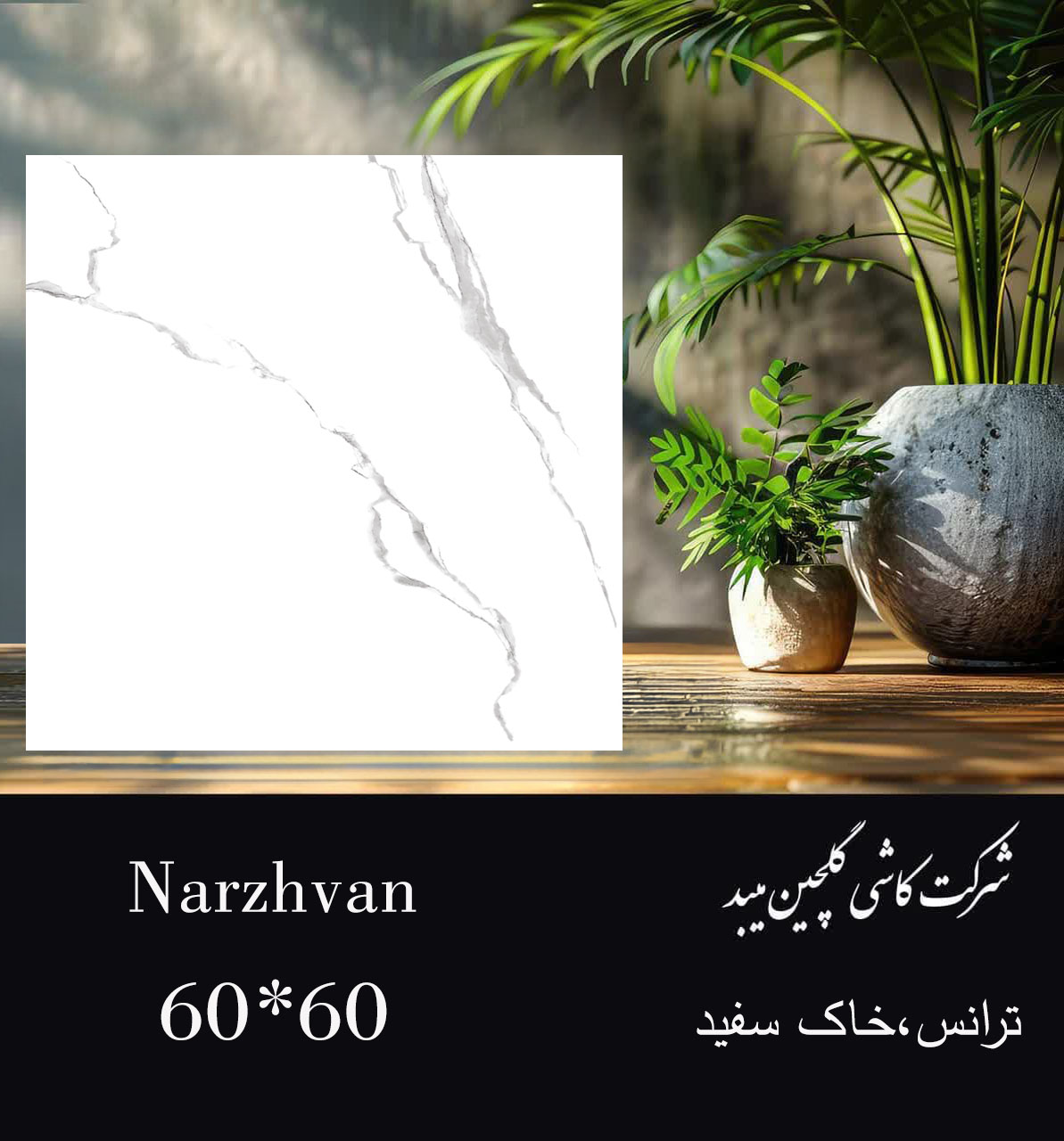 سرامیک خاک سفید 60×60