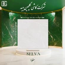 سلوا طوسی